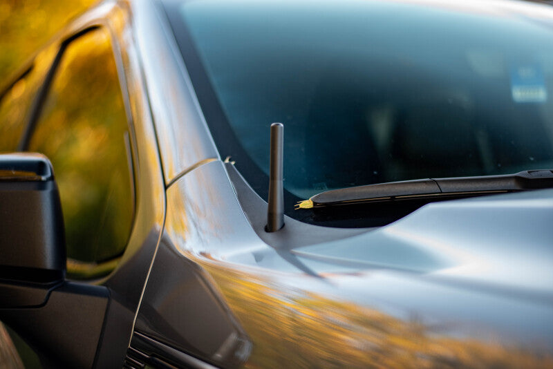 BuiltRight Industries 2019+ Silverado & Sierra Perfect-Fit Stubby Antenna 110020 110020 Photo - lifestyle view