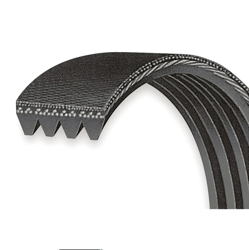 VMP Performance Belt 4-Rib Accessory for 5.0/5.2L w/ /ATI Balancer 4PK1715 4PK1715 Photo - Primary
