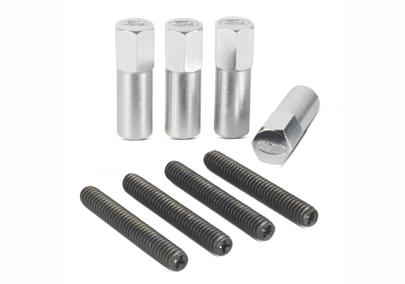 Ford Valve Cove Bolt Kit 4pk Chrome w/Ford Logo FRD302-315 302-315 Photo - Unmounted