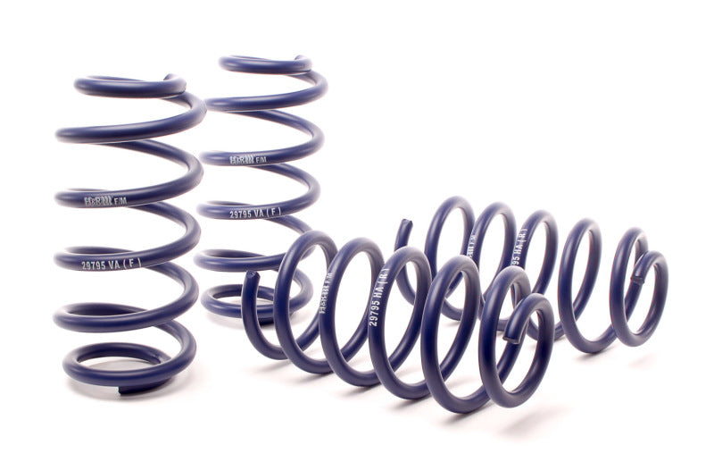 H&R Sport Springs VW Passat 2002-2005 29795-1 Photo - out of package