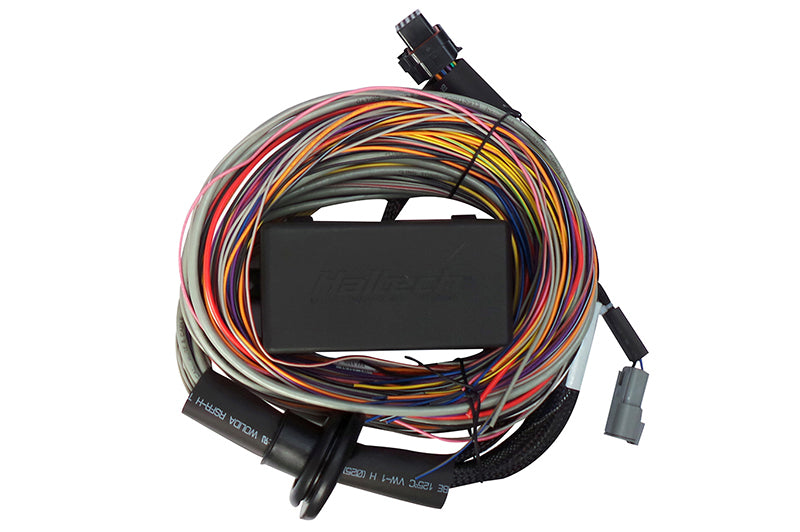 Haltech Elite 750 Premium Universal Wire-in HarnessLength: 2.5m (8' ) HT-140604 Photo - Primary