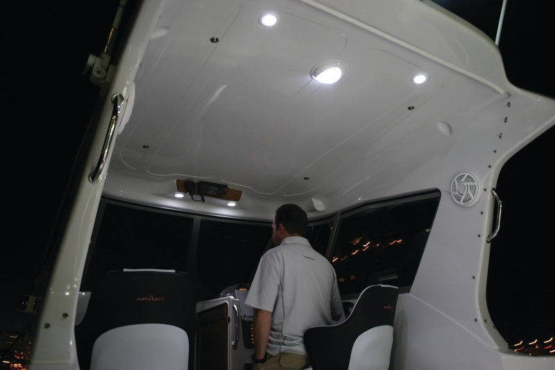 Hella '0500 Series' Slim Line White 12V DC Round Soft LED Courtesy Lig 980500041 Photo - Mounted