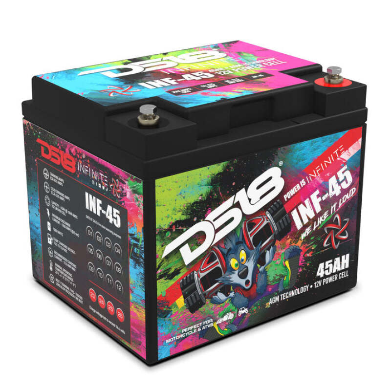 DS18 DSE Infinite AGM Power Cell Batteries Batteries, Starting & Charging Batteries main image