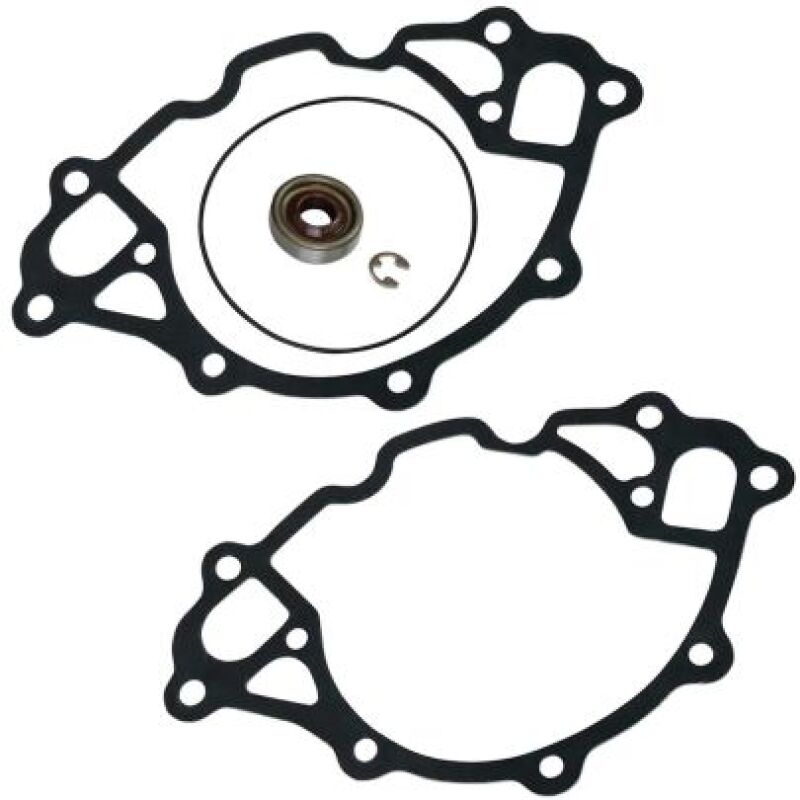 Moroso Small Block Ford Replacement Water Pump Gasket & Seal Kit (For 63585) 63603 63603 User 1