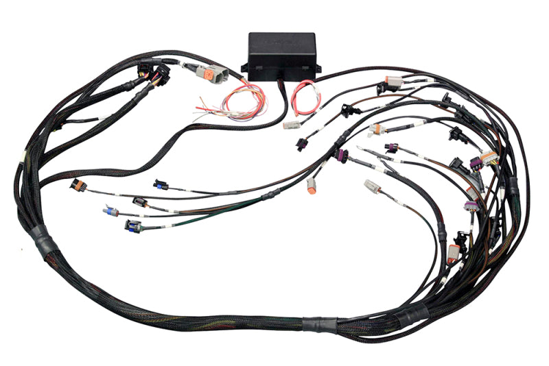 Haltech Elite 2500 GM GEN IV LSx (LS2/LS3 etc) DBW Ready Terminated Harness On HT-141366 Photo - Primary