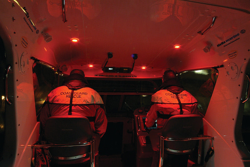 Hella '0500 Series' Slim Line White 12V DC Round Soft LED Courtesy Lig 980500041 Photo - Mounted