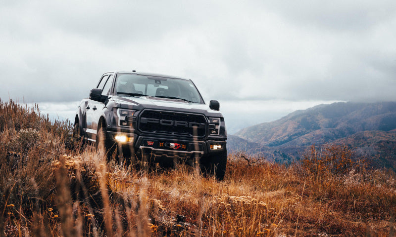 BuiltRight Industries 17-19 Ford Raptor Perfect-Fit Stubby Antenna 110010 110010 Photo - lifestyle view