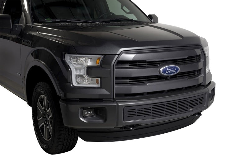 Putco 2015-2017, Ford F150 - Stainless Steel Black Bar Design 87160 Photo - Mounted