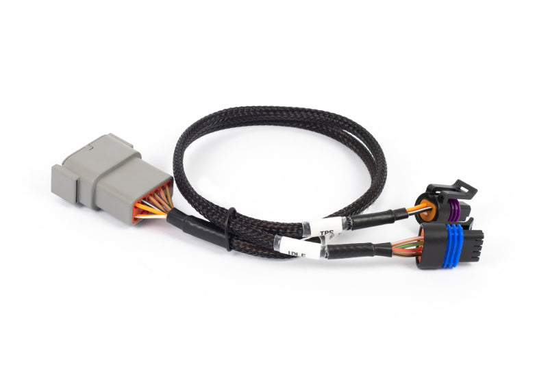 Haltech NEXUS Rebel LS Cable Throttle & IAC Sub-Harness (Plug-n-Play w/HT-186500) HT-186504
