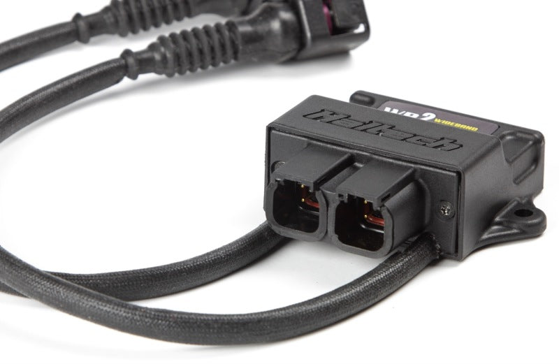 Haltech WB2 Dual Channel CAN O2 Wideband Controller Kit HT-159986 HT-159986 Photo - Primary