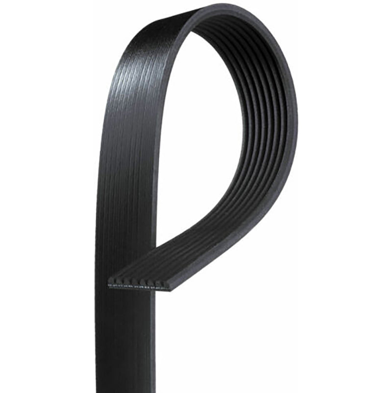 VMP Performance 2020+ Ford Shelby GT500 Belt w/ 2.7-2.8in Upper Pulley K080702 K080702 Photo - Primary