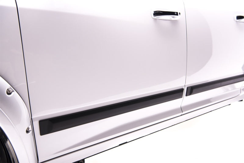 EGR Crew Cab Front 41.5in Rear 38in Rugged Style Body Side Moldings (951674) 951674 951674 Photo - Mounted