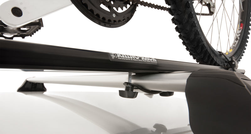 Rhino-Rack Road Warrior Bike Carrier (C-Channel) RBC036 RBC036 Photo - Primary