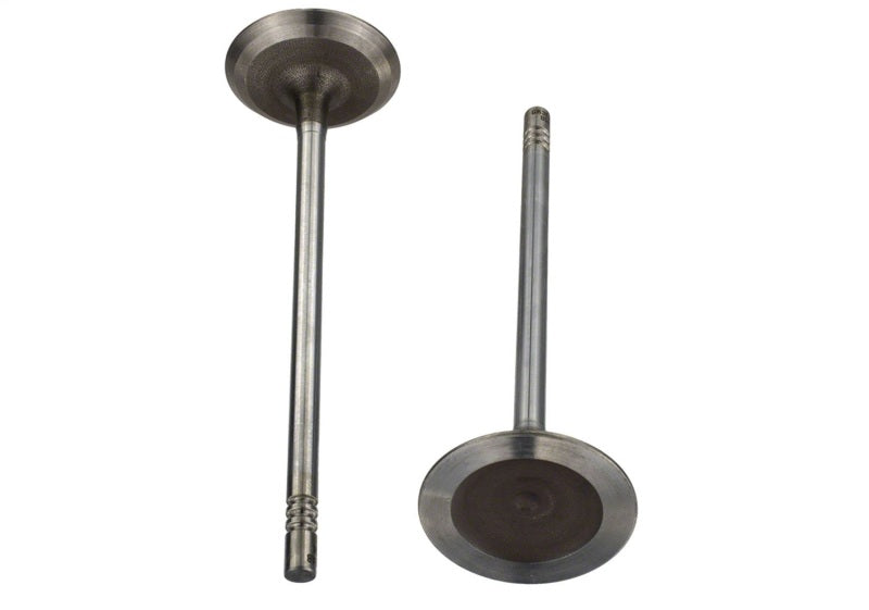 Ford Racing Coyote 5.2L Lightweight Intake Valve - Set of 8 M-6507-M52 M-6507-M52 Photo - Unmounted