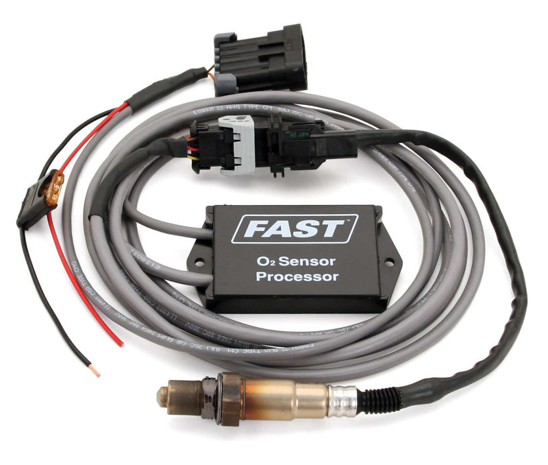 FAST Oxygen Sensor 170579 Photo - Primary