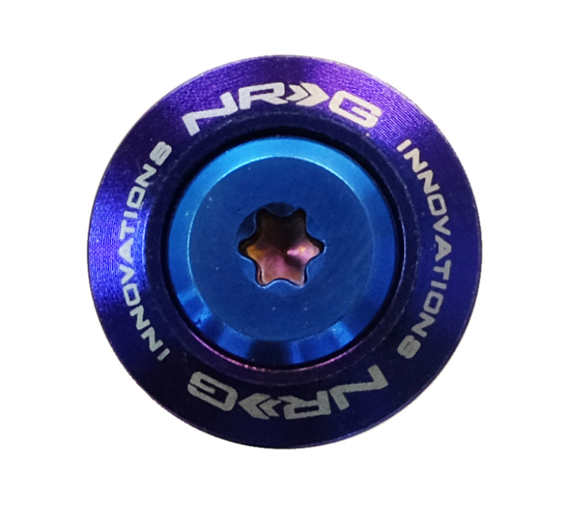 NRG Fender Washer Kit, Set of 10, Thin washers Titanium Burn w/ Real Titan FW-200TT Photo - Primary