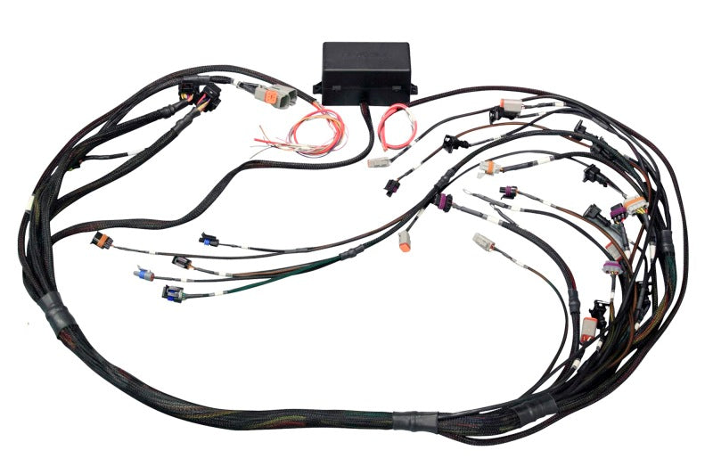 Haltech Elite 2000/2500 GM GEN III LS1 & LS6 Non DBW Terminated Harness Only HT-141360 Photo - Primary