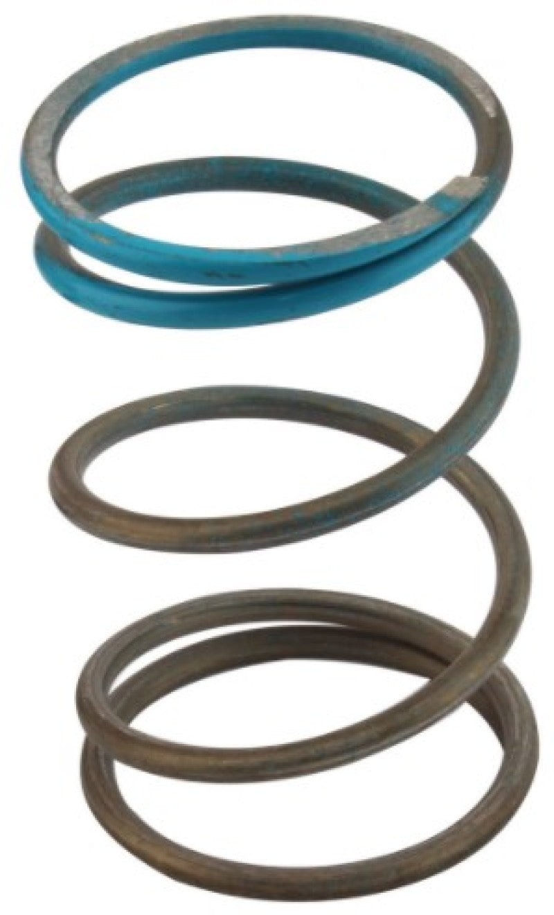 Turbosmart Gen-V WG45/50 14psi Blue Outer Spring TS-0550-3088 TS-0550-3088 User 1
