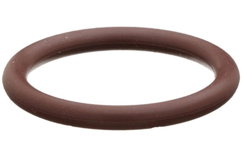 Radium O-Ring 5-Pack, 8An, Viton 18-0043-08 Photo - Primary