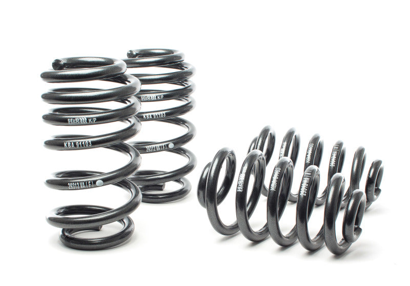 H&R Sport Springs Audi S4 2004-2009 50310 Photo - Primary