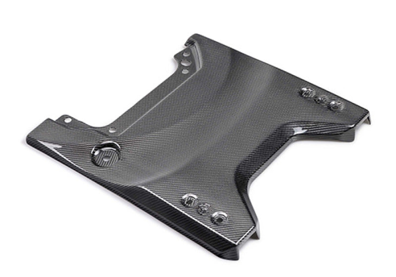 Ford Racing 22-24 Bronco Raptor Carbon Fiver Tailgate Applique - Gloss M-16600-BG M-16600-BG User 1