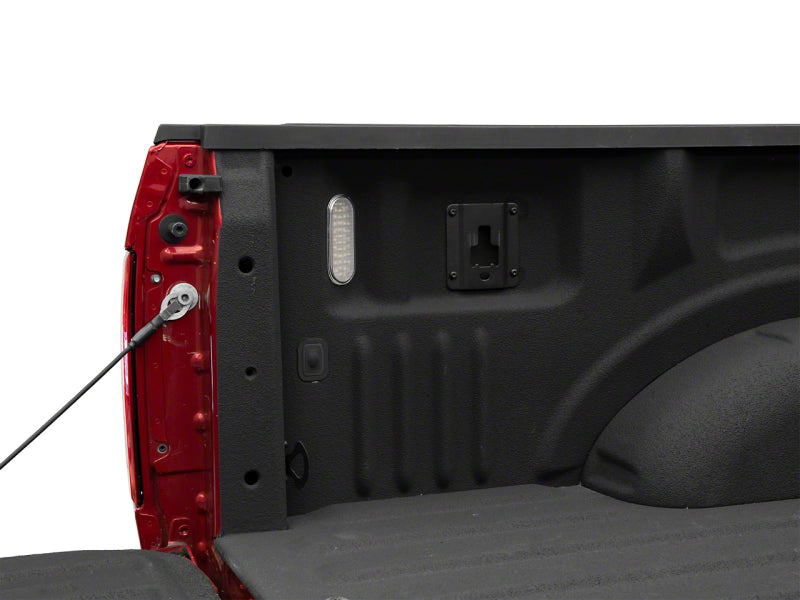 Raxiom 15-23 Ford F-150 17-23 Ford F-250/F-350 Super Duty Axial Series LED Cargo Light T556095 T556095 Photo - Primary