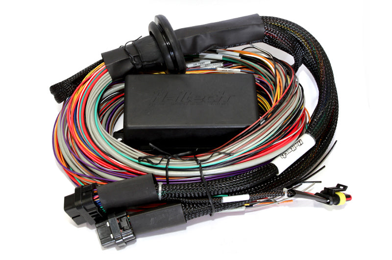 Haltech Elite 2500 & 2500 T-2.5m (8 ft) Premium Universal Wire-in Harness Only HT-141304 Photo - Primary