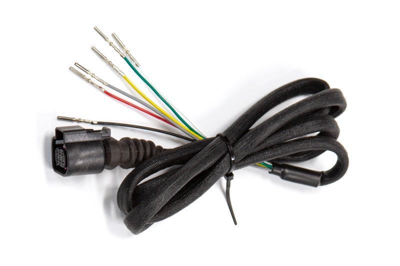 Haltech Wideband Harness for Elite PRO Plug-in ECUs HT-131002 HT-131002 Photo - Primary