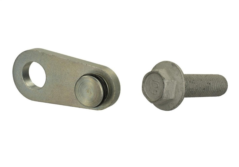 Ford Performance Parts 2.3L Ecoboost Balance Shaft Block-off Plug M-6026-23BSBP Photo - Unmounted