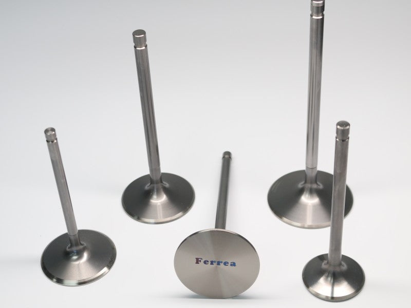 Ferrea Chevy/Chry/Ford SB 2.055in 11/32in 5.04in 0.29in 12 Deg +.100 Ti Comp Intake Valve - Single F1652-1 F1652-1 Photo - Primary