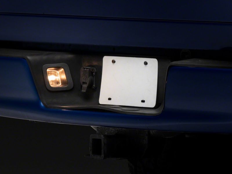Raxiom 02-10 Dodge RAM 1500/2500 Axial Series OE Replacement License Plate Lamps R145024