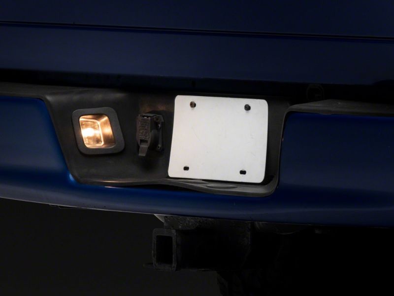 Raxiom 02-10 Dodge RAM 1500/2500 Axial Series OE Replacement License Plate Lamps R145024 R145024 Photo - Close Up
