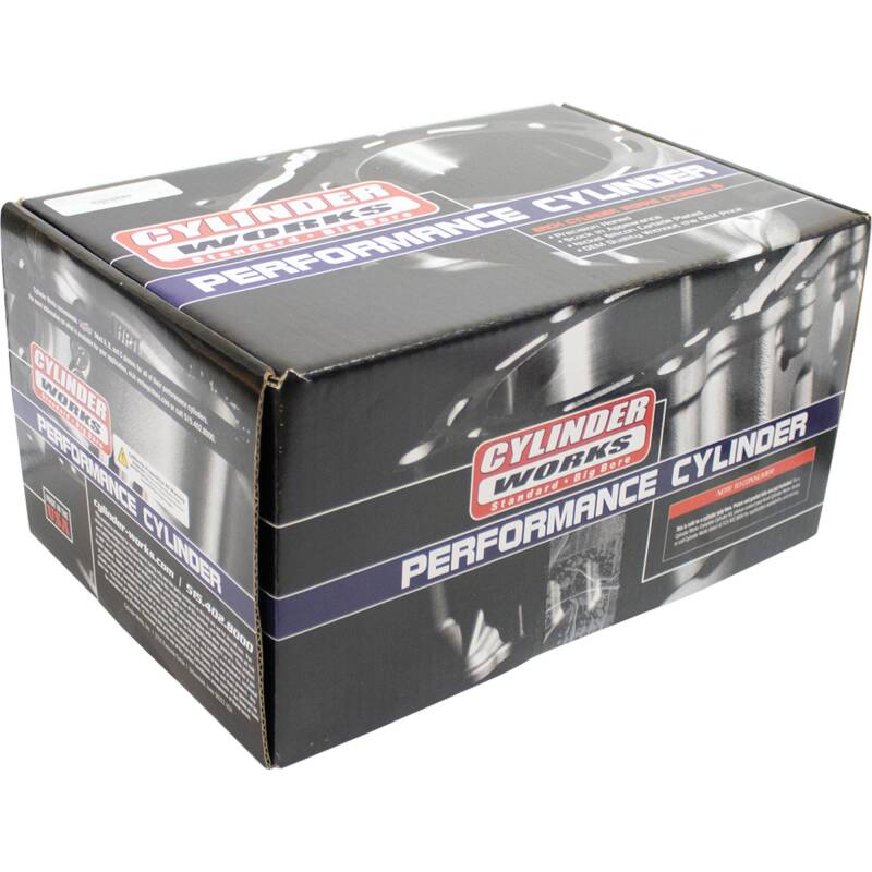 Cylinder Works 20-24 Kawasaki KRX 1000 Teryx 1000cc Big Bore Cylinder 95mm CW31015-1 CW31015-1 Photo - Primary