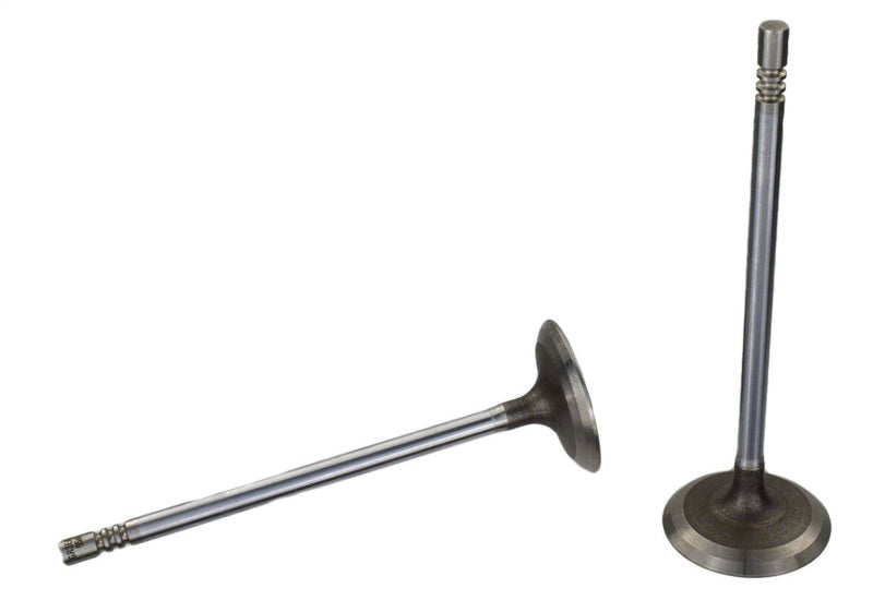 Ford Racing Coyote 5.2L Lightweight Intake Valve - Set of 8 M-6507-M52 M-6507-M52 Photo - Unmounted