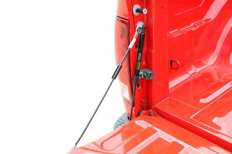 Dee Zee Deezee 09-23 Dodge/Ram Ram Tailgate Assist Shock DZ43301 DZ43301 Photo - Mounted