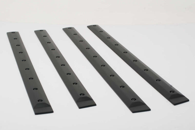EGR Double Cab Front 41.5in Rear 28in Bolt-On Look Body Side Moldings (991574) 991574 991574 Photo - Unmounted