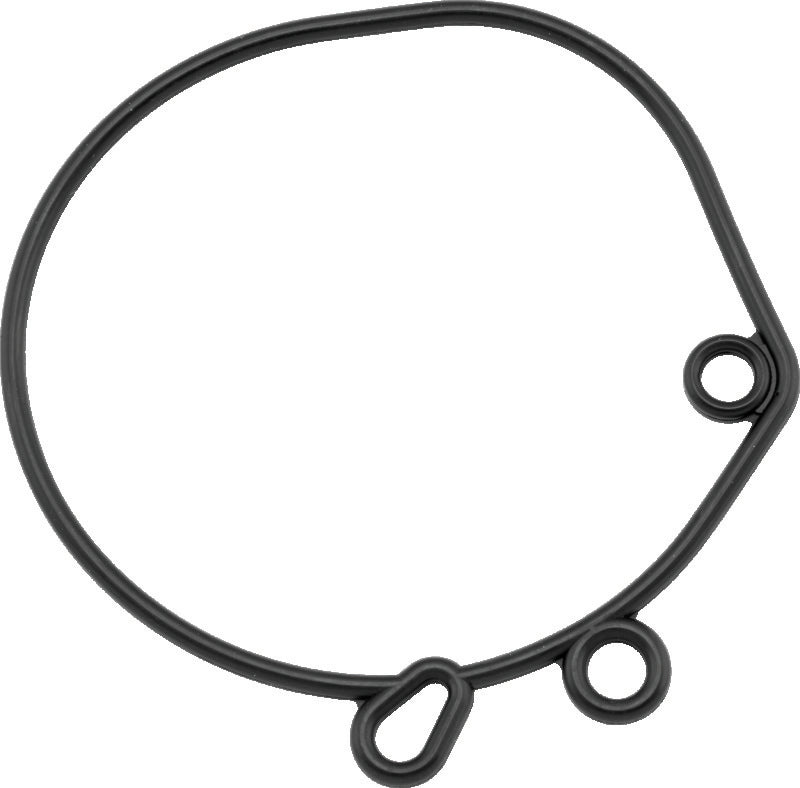 TwinPower Float Bowl O-Rings 493354 493354 Photo - Primary