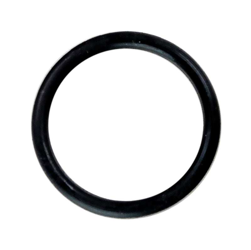 Moroso Replacement O-Ring (Replacement for 297006) 23811 23811 User 1