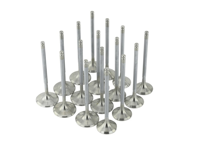 Skunk2 Alpha Series Valves Honda/Acura Stock Size B Series VTEC 310-05-1310 Photo - Unmounted