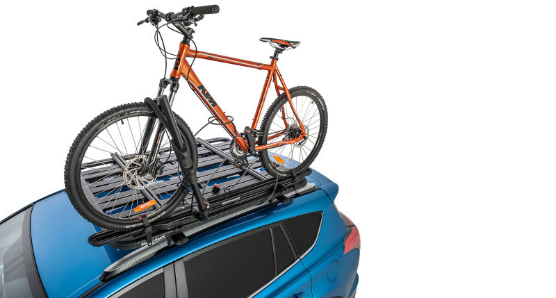 Rhino-Rack Hybrid Upright Bike Carrier RBC050 RBC050 Photo - Primary