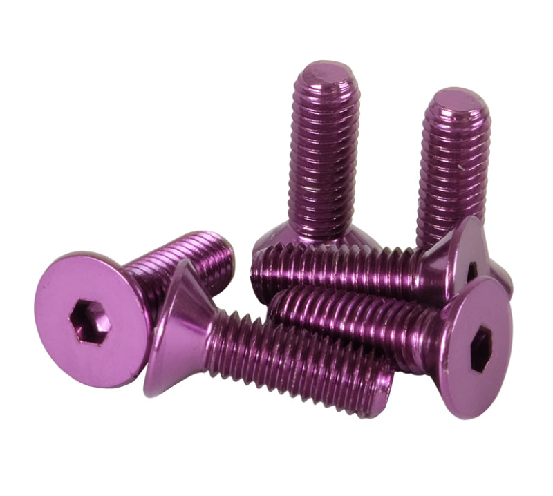 NRG Steering Wheel Screw Kit Upgrade Purple "CONICAL" SWS-100PP Photo - Primary