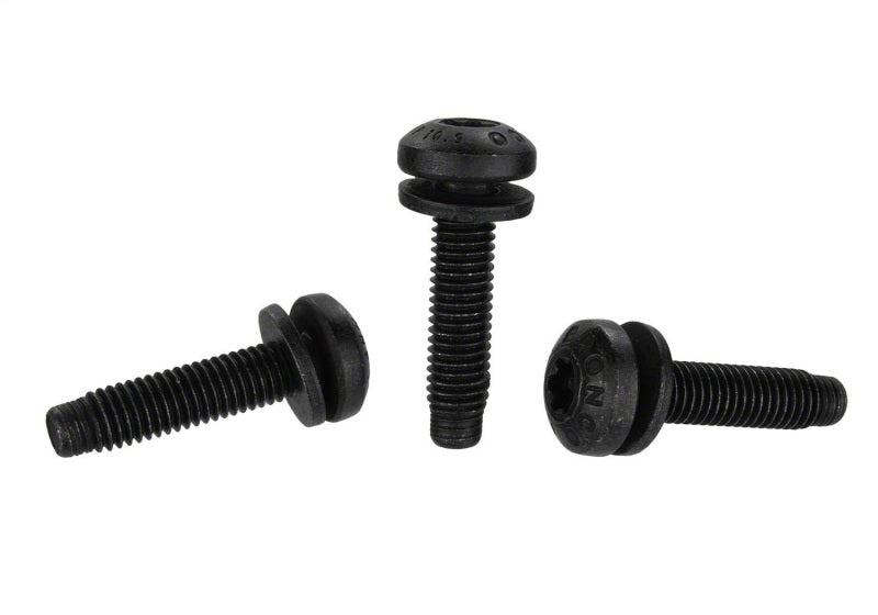 Ford Racing Bronco Tube Door Replacement Grab Handle M-19008-BTDG M-19008-BTDG Photo - Unmounted