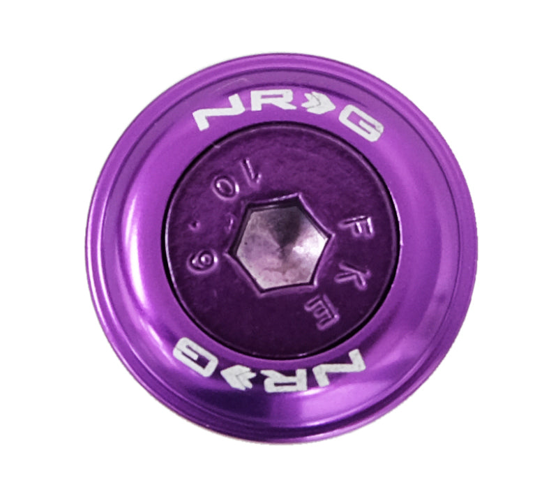 NRG Fender Washer Kit w/Color Matched M6 Bolt Rivets For Plastic (Purple) - Set of 10 FW-150PP FW-150PP Photo - Primary