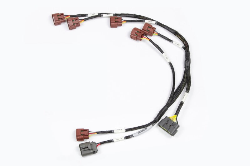 Haltech Nissan RB Twin Cam (Early Model) Ignition Sub-Harness HT-130331 HT-130331 Photo - Primary