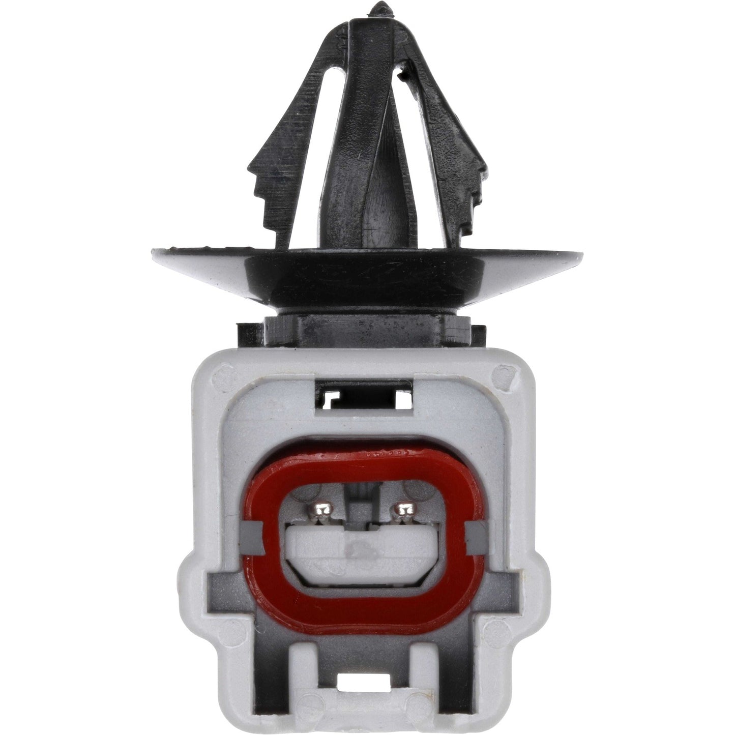 Holstein 2ABS5582 image 5