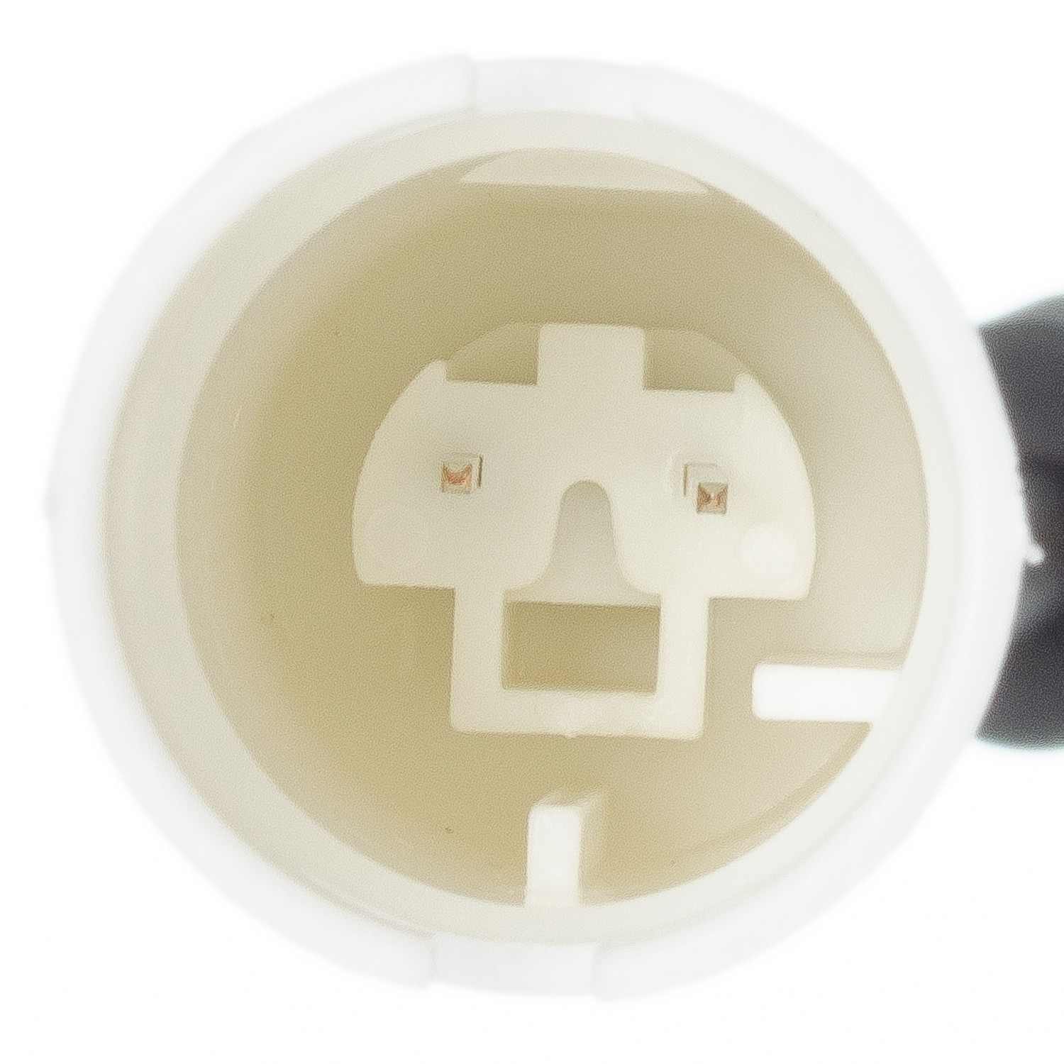 HOLSTEIN Disc Brake Pad Wear Sensor 2BWS0160
