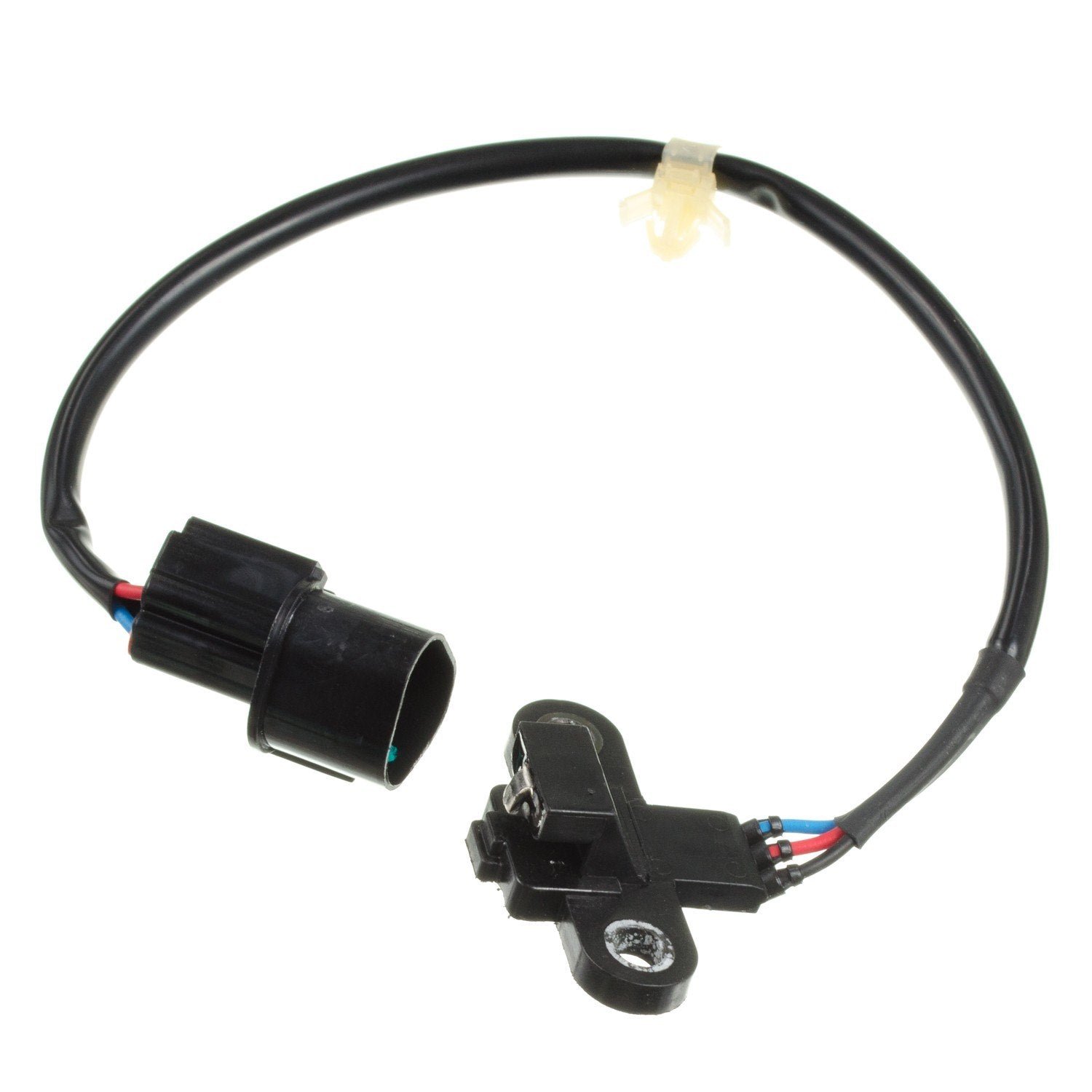 HOLSTEIN Engine Crankshaft Position Sensor 2CRK0274