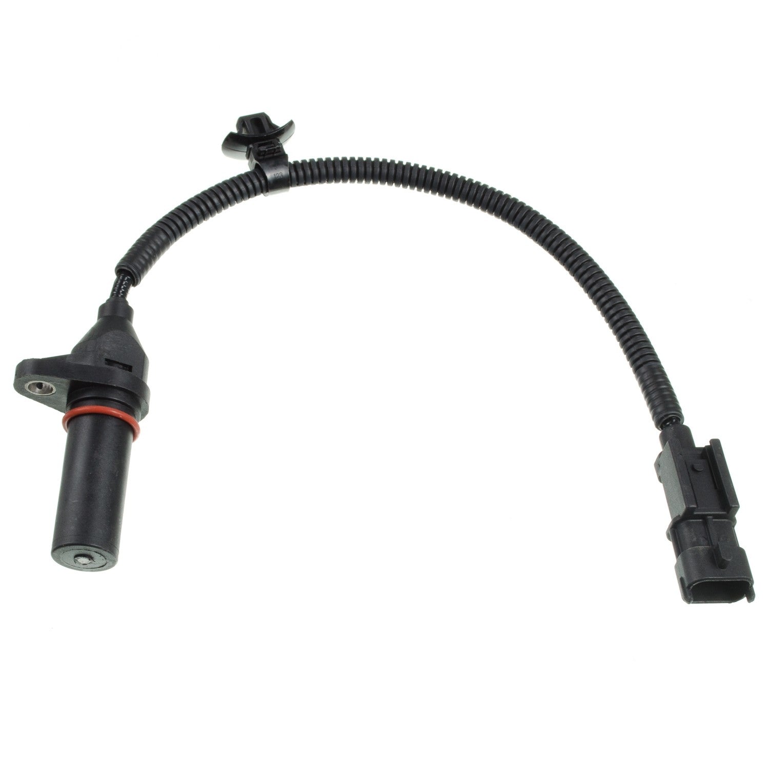 HOLSTEIN Engine Crankshaft Position Sensor 2CRK0316