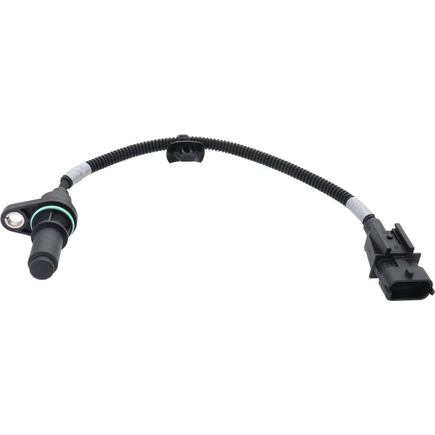 HOLSTEIN Engine Crankshaft Position Sensor 2CRK0347