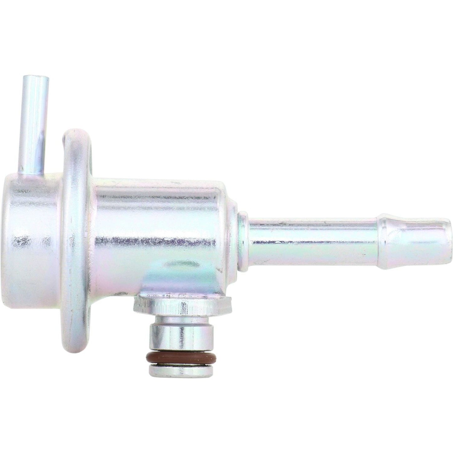 Holstein 2FPR0008